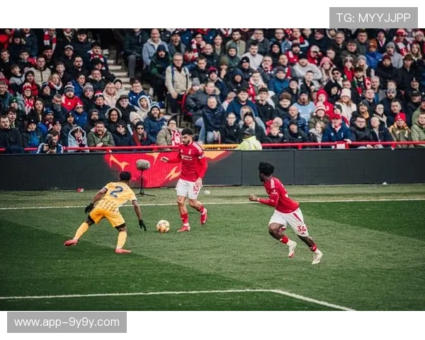 吉布斯怀特头球绝杀,诺丁汉森林展现顽强斗志力克对手 吉布斯怀特头球绝杀,诺丁汉森林展现顽强斗志力克对手